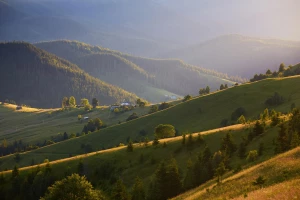 Prace na wysokościach ze zwyżką