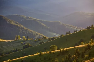 Jak wdrożyć tani system ESG w firmie: 10 kroków od audytu zużycia energii po raport i mierzalne cele redukcji CO₂.